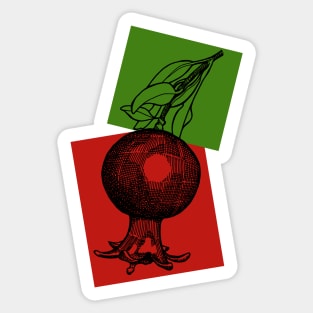 Pomegranate Sticker